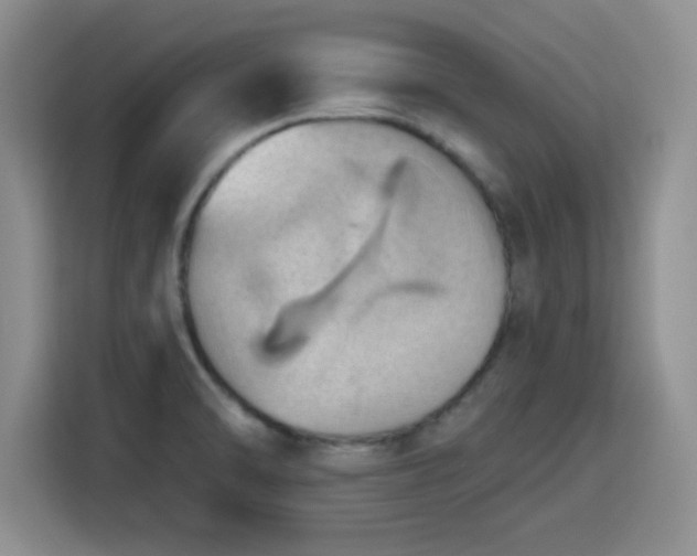 X0000115791470200911201322