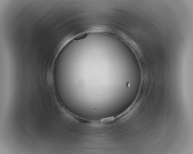 X0000115791473200911201322