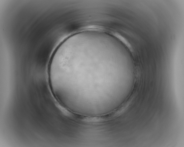 X0000115791474200911201322