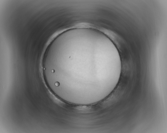 X0000115791478200911201322