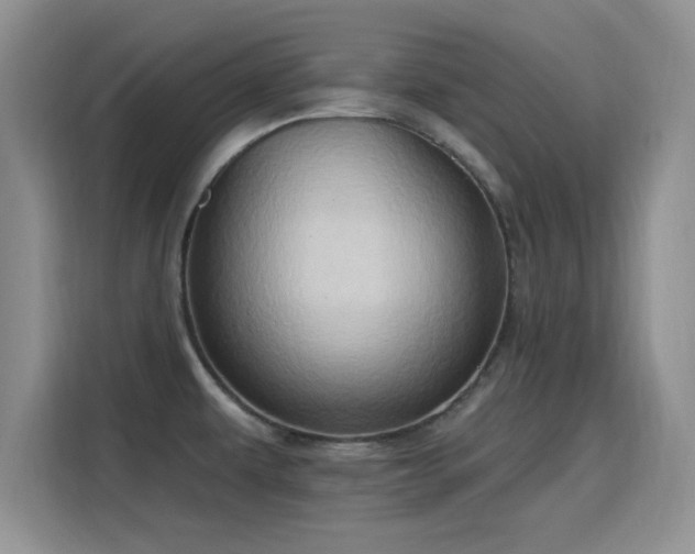 X0000115791479200911201322