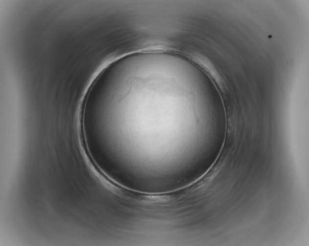 X0000115791483200911201322