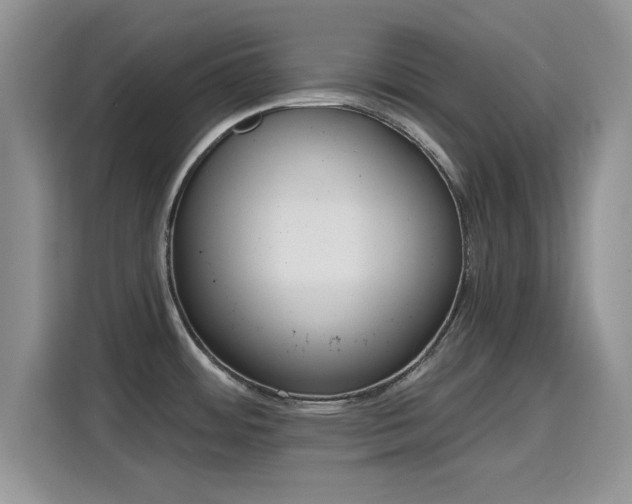 X0000115791484200911201322