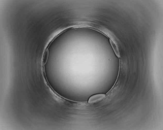 X0000115791485200911201322