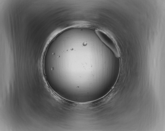 X0000115791488200911201322