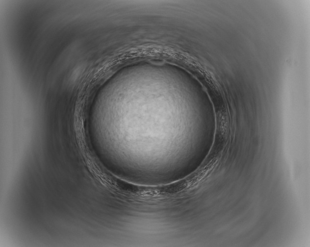 X0000115791489200911201321