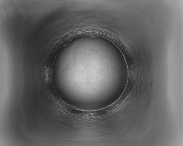 X0000115791490200911201321