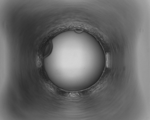 X0000115791491200911201321