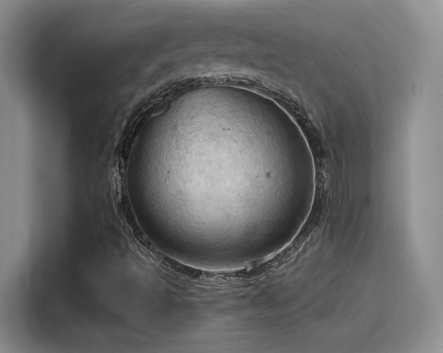 X0000115791493200911201321