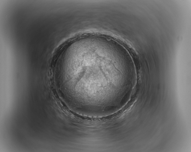 X0000115791494200911201321