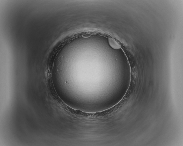 X0000115791495200911201321