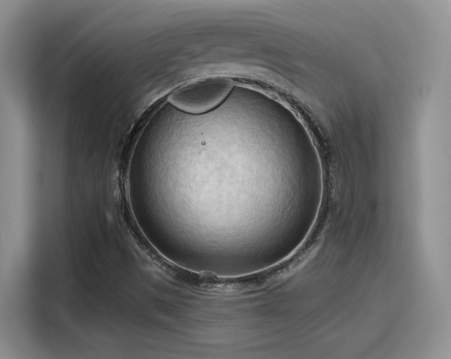 X0000115791497200911201321