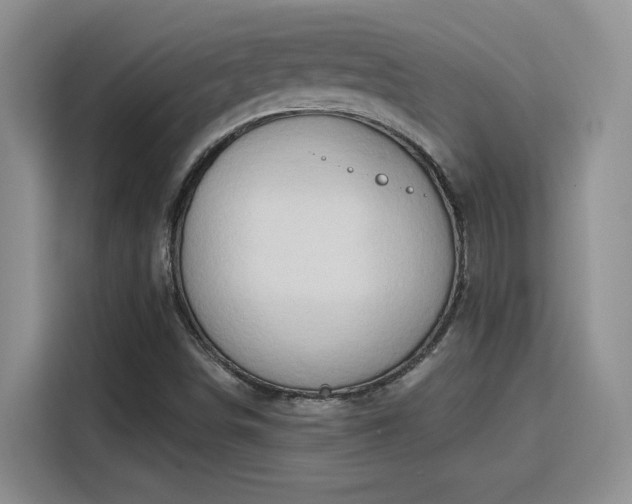 X0000115791498200911201321