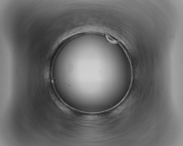 X0000115791499200911201321