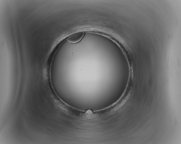 X0000115791501200911201321