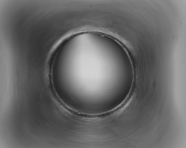 X0000115791502200911201321