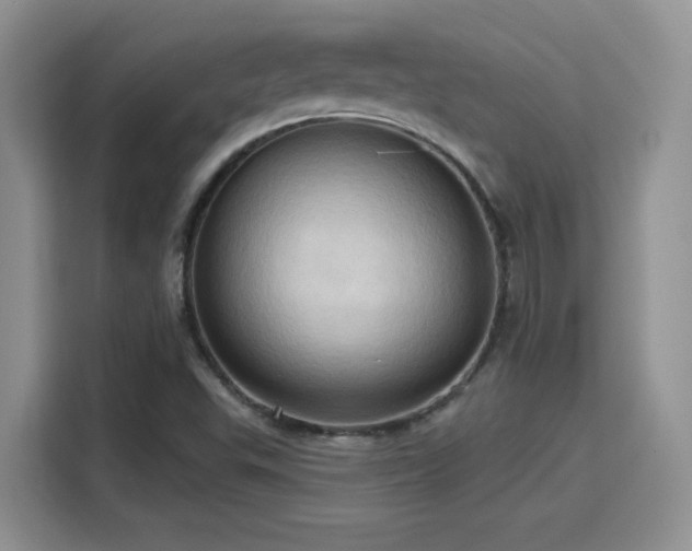 X0000115791503200911201321