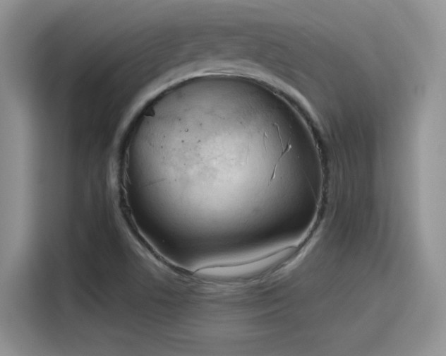 X0000115791506200911201321