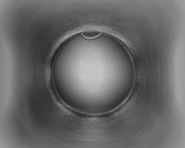 X0000115791507200911201321