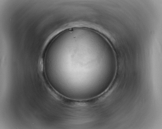 X0000115791509200911201321