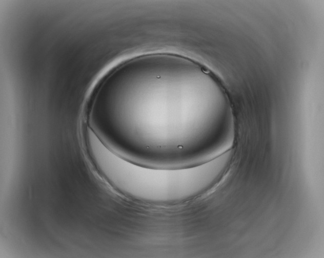 X0000115791510200911201321