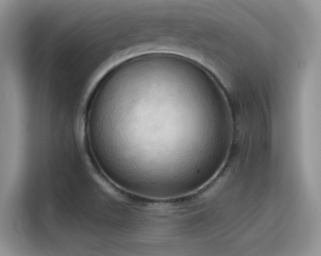 X0000115791511200911201321