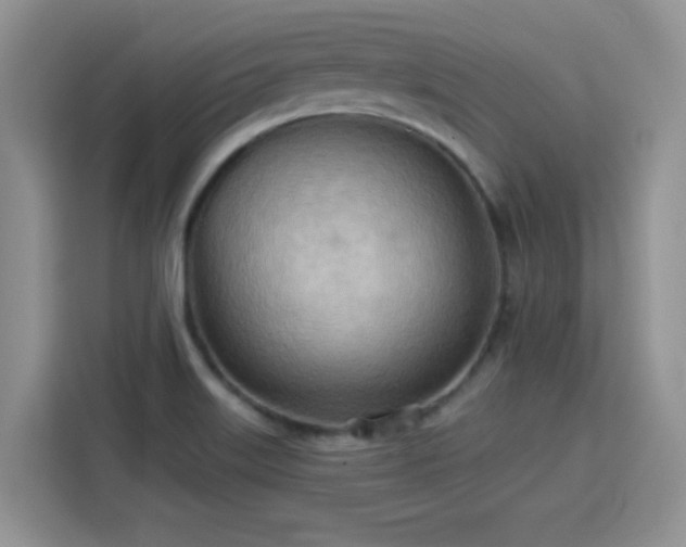 X0000115791515200911201321