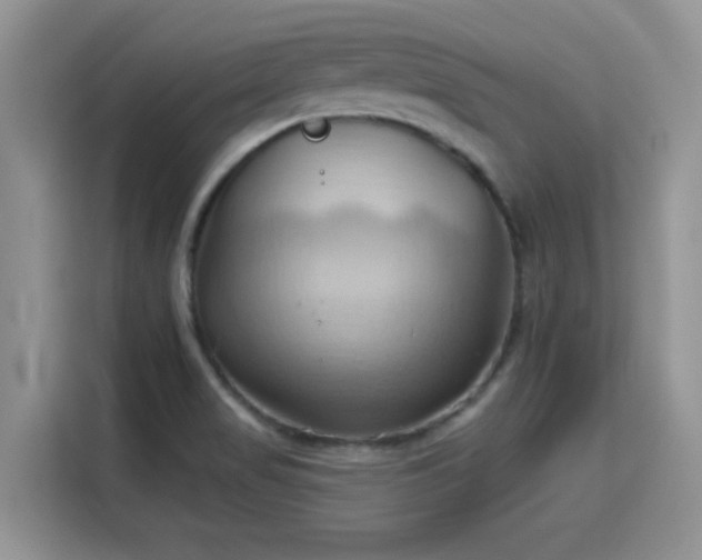 X0000115791517200911201321