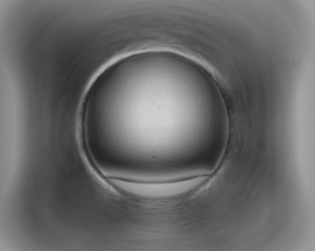 X0000115791518200911201321