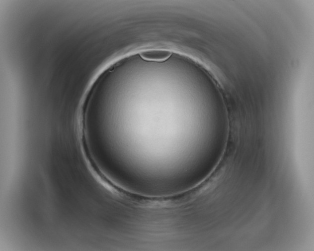 X0000115791519200911201321