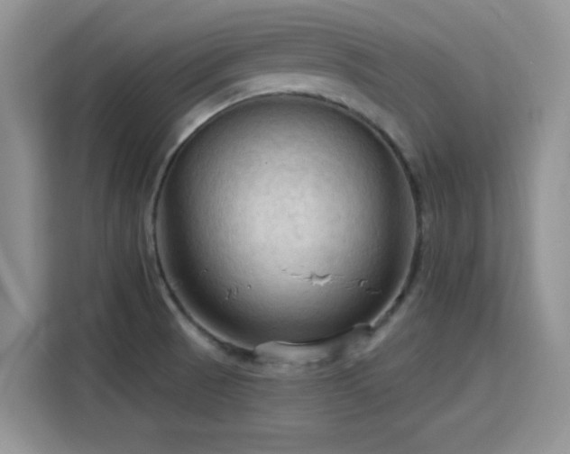 X0000115791521200911201321