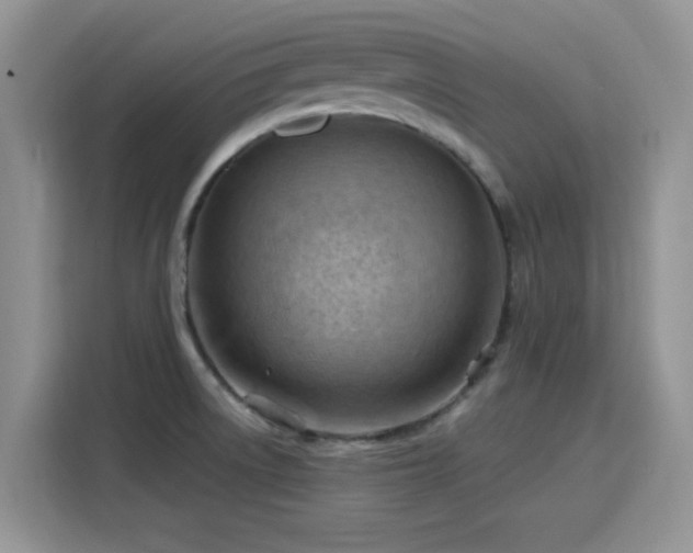 X0000115791522200911201321