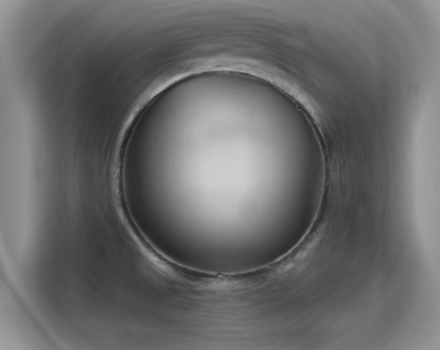 X0000115791525200911201322