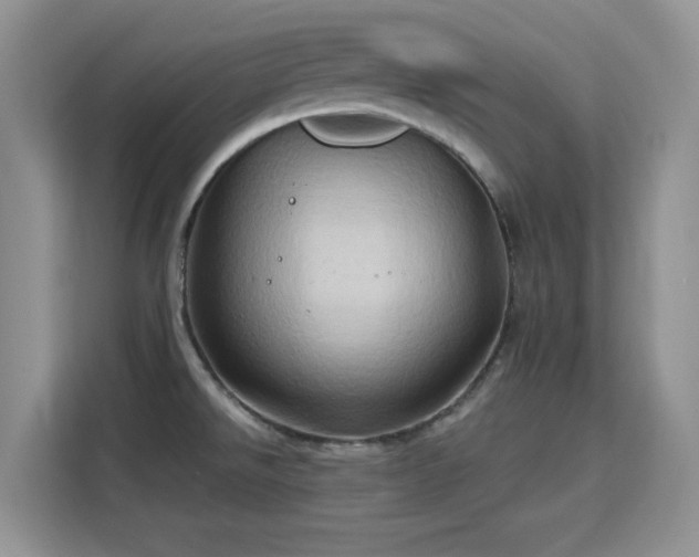 X0000115791526200911201322