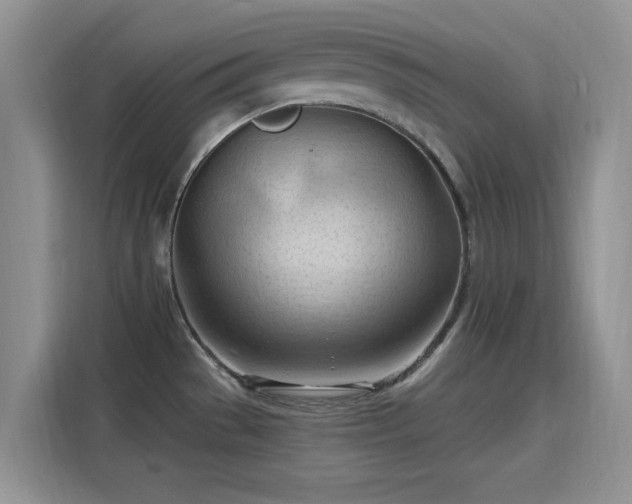 X0000115791529200911201322