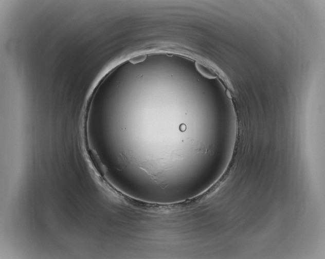 X0000115791530200911201322