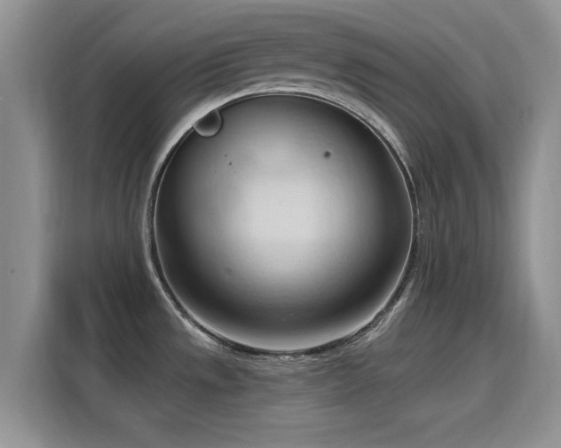 X0000115791533200911201322