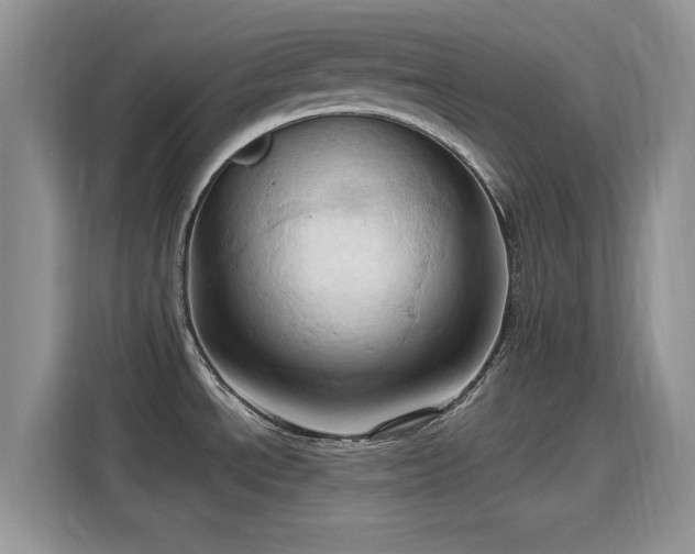 X0000115791534200911201322