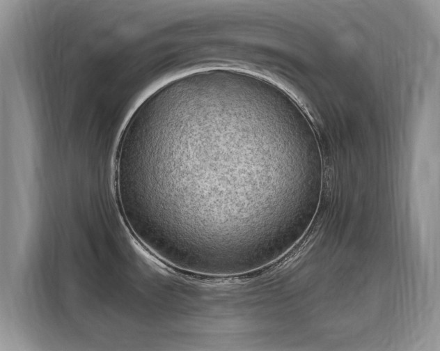 X0000115791535200911201322