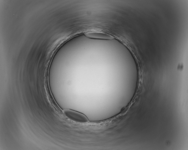 X0000115790001200911271238