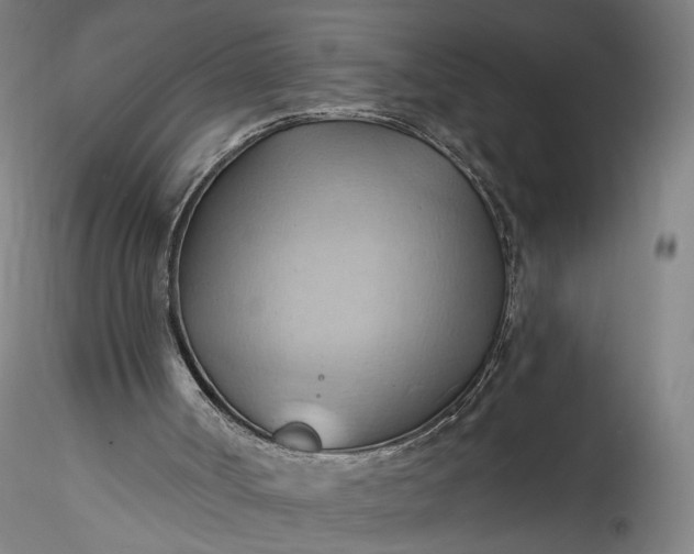 X0000115790002200911271238