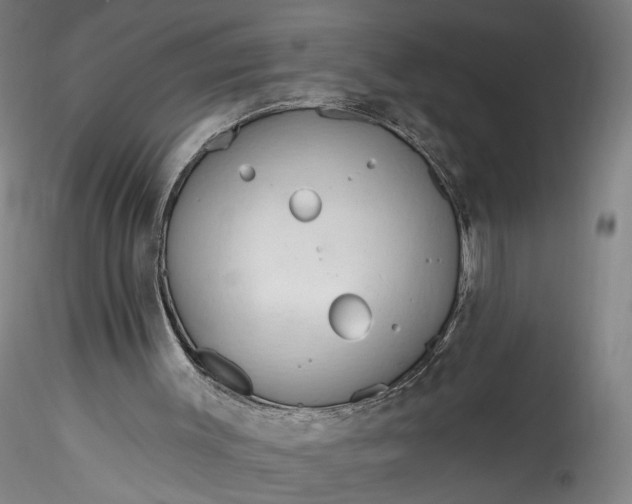 X0000115790003200911271238