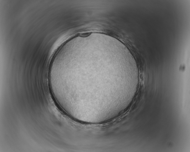 X0000115790004200911271238