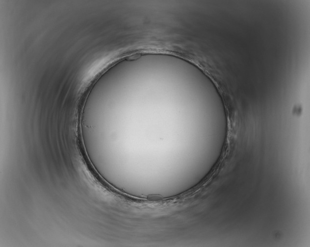 X0000115790005200911271237