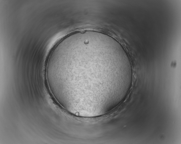 X0000115790006200911271237