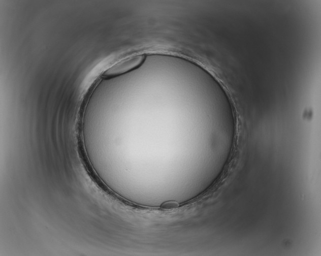 X0000115790007200911271237