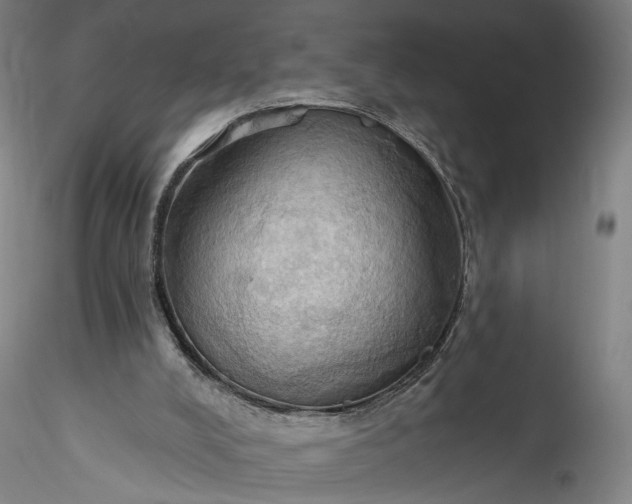 X0000115790008200911271237