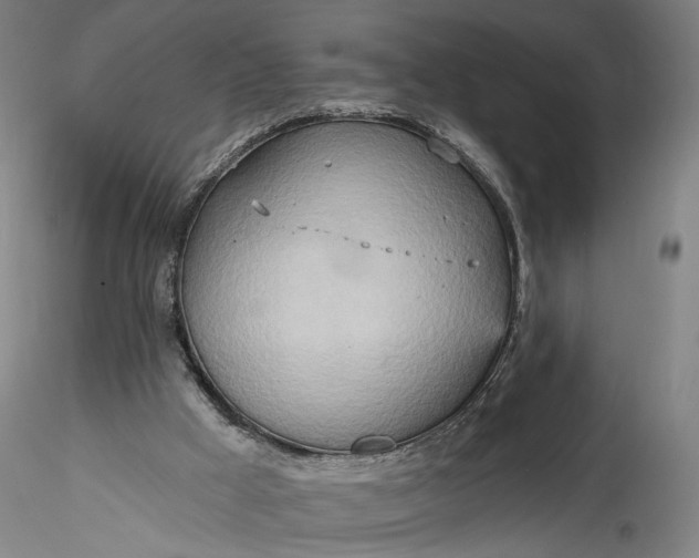 X0000115790009200911271237