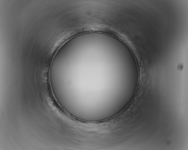 X0000115790010200911271237