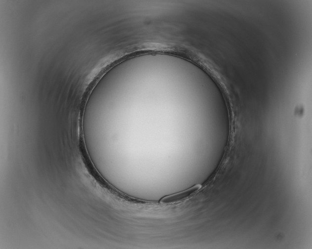 X0000115790011200911271237